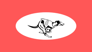 Guide des paris sur les courses de lévriers